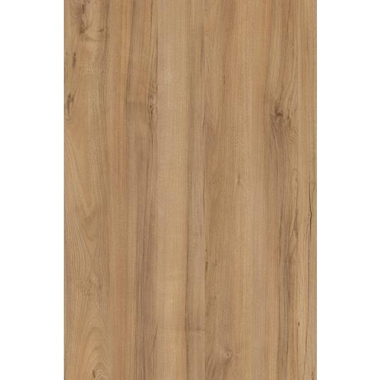 H3700 Pacific Nussbaum natur